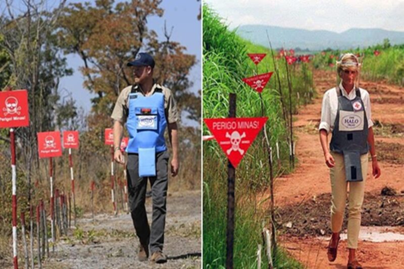 பிரின்ஸ் ஹரியின் பயமற்ற சாகசம்: ஒரு தாயின் கனவை நிறைவேற்றும் மகன்!