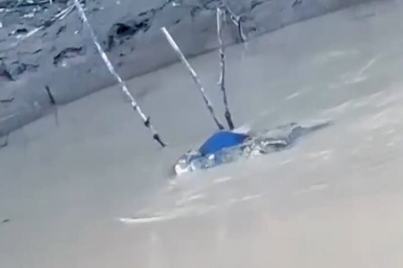 பள்ளிச் சிறுவனை முதலை தாக்கி, இழுத்துச் சென்ற பயங்கரம்: