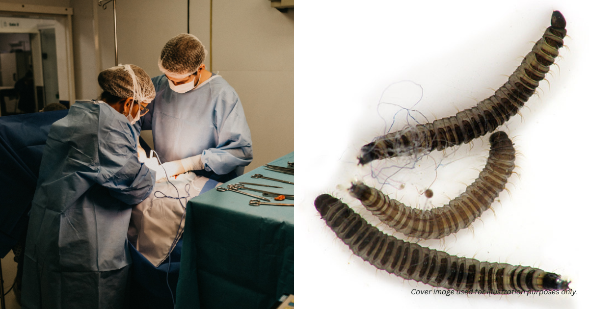 china girl vomit worms