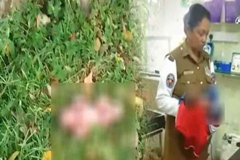 வயலில் கைவிடப்பட்ட புதிதாகப் பிறந்த பச்சிளம் சிசு: