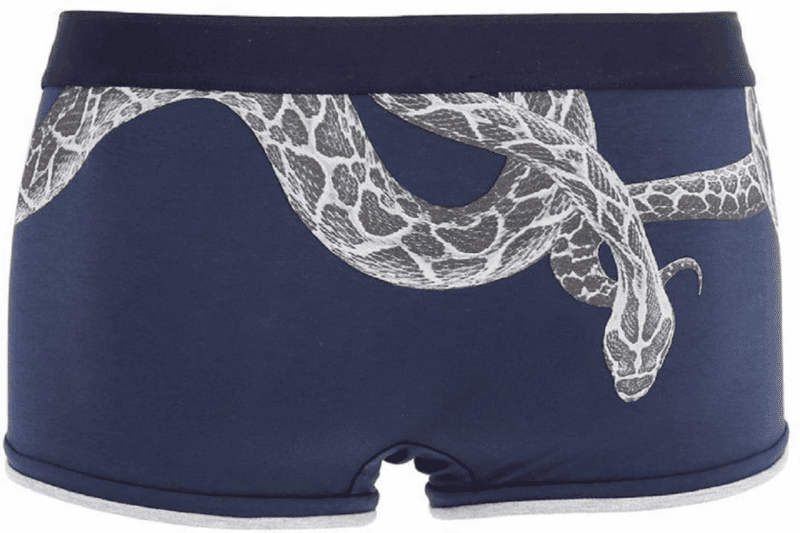 உள்ளாடைகளுக்குள் மலைப்பாம்புகளின் குட்டிகள்: சூட்சுமம் என்ன?