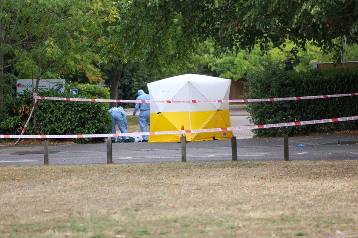 அதிர்ச்சிப் பின்னணி! நடுவீதியில் சாக விடப்பட்ட மாடல்! பெண் மீது ‘கொலை வழக்கு’! –