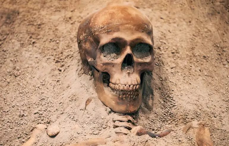 விஷத் தன்மை கொண்ட உலோகம் ஆனால் மனிதர்களின் மூளை எப்படி வளர்ந்தது ?