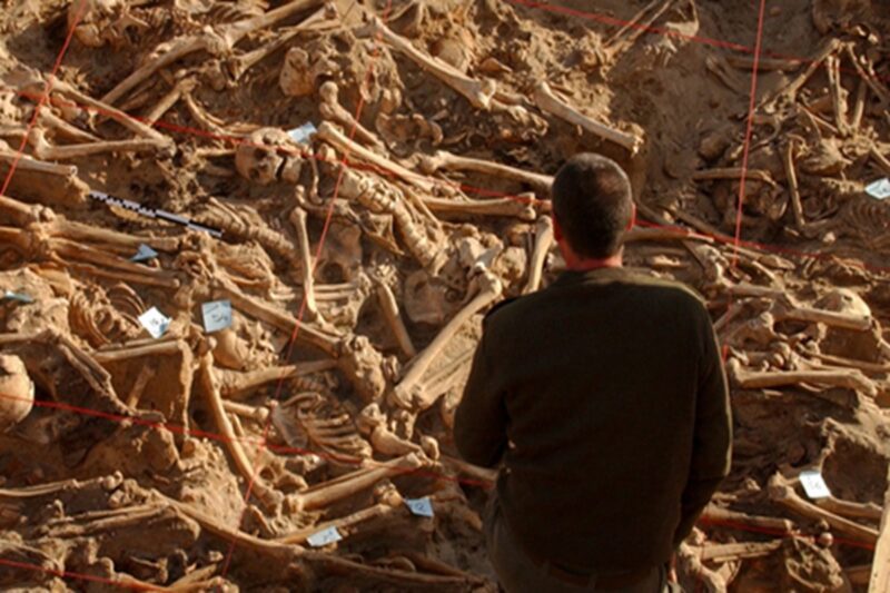 நெப்போலியனின் படைகளை ரகசியமாக அழித்த “நுண்ணுயிர்க் கொலைகாரர்கள்”!