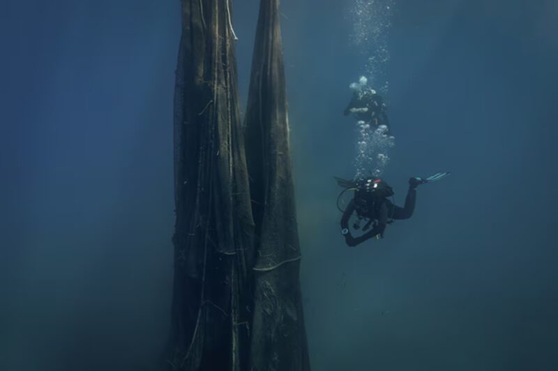 கடல்வாழ் உயிரினங்களைச் சாகடிக்கும் ‘பேய் வலைகள்’!