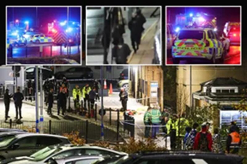 ‘என்னைக் கொல்லுங்கள்’ ரயில் பயணத்தில் பேரதிர்ச்சி: ‘கத்திக்குத்து ஆசாமி’ கைது!