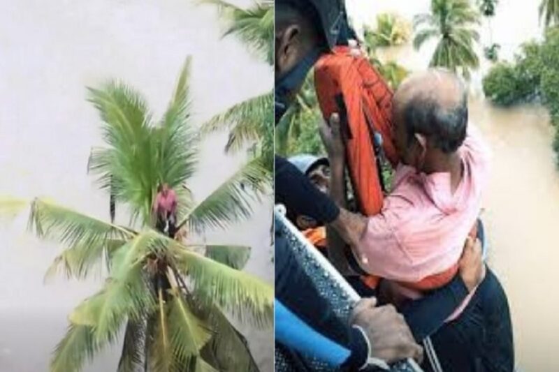 வெள்ளத்தில் சிக்கி தென்னை மரத்தில் 24 மணி நேரம் போராடிய விவசாயி: மீட்பு!