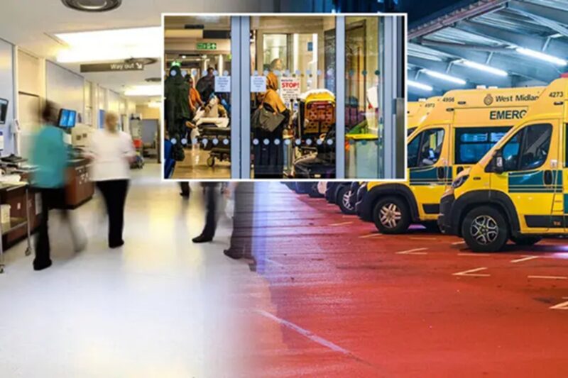 குழந்தைகள் கவனம் : பிரிட்டனில் ‘K வகை’ ஃப்ளூ காய்ச்சலின் தீவிரம் : NHS-இல் தீவிர நிலை